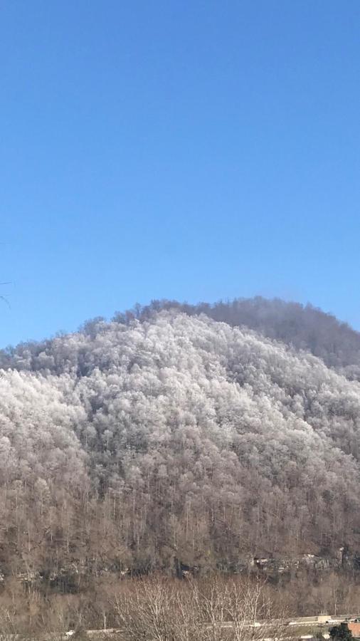Pine Mountain Inn Pineville Exterior foto